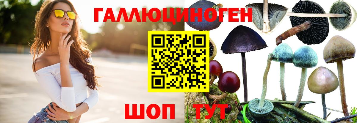 Галлюциногенные грибы мицелий Сергиев Посад